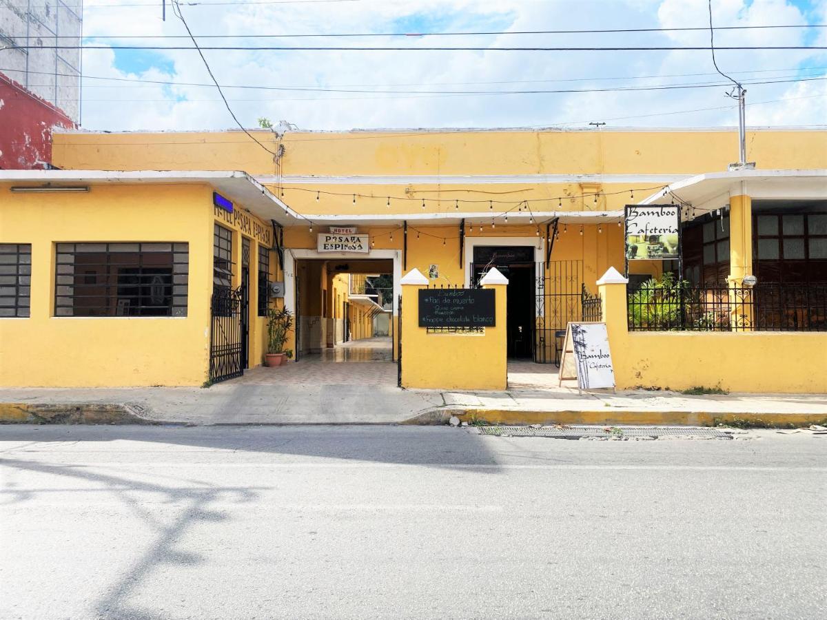 Oyo Posada Espinosa, Merida, Parque De Santa Ana ภายนอก รูปภาพ